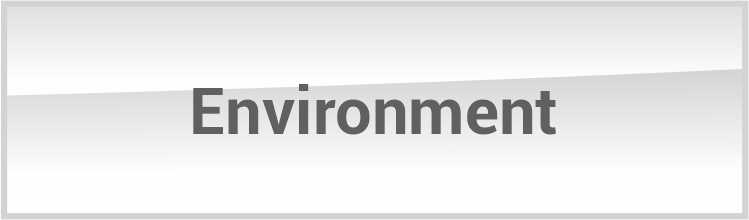 Environmental Policy